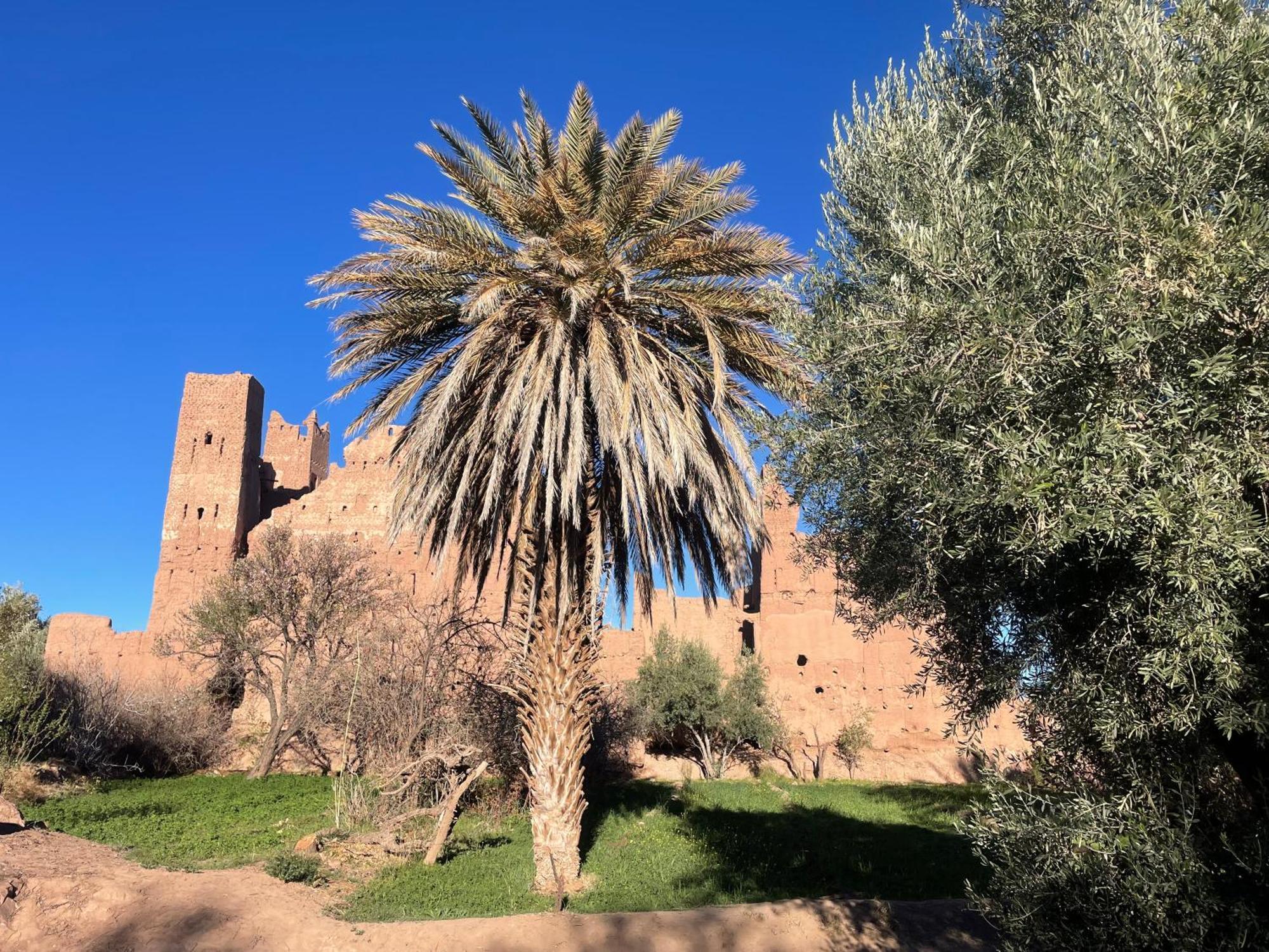 Maroc des Merveilles - Chez L'habitant El Kelaa des M'gouna Extérieur photo